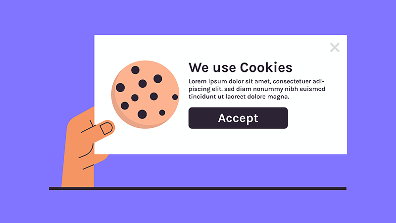 Does My Website Require a Privacy Policy and Cookie Policy? What Are My Options?